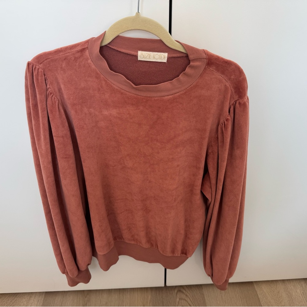 Suzi Kondi Terracotta Long Sleeve Top